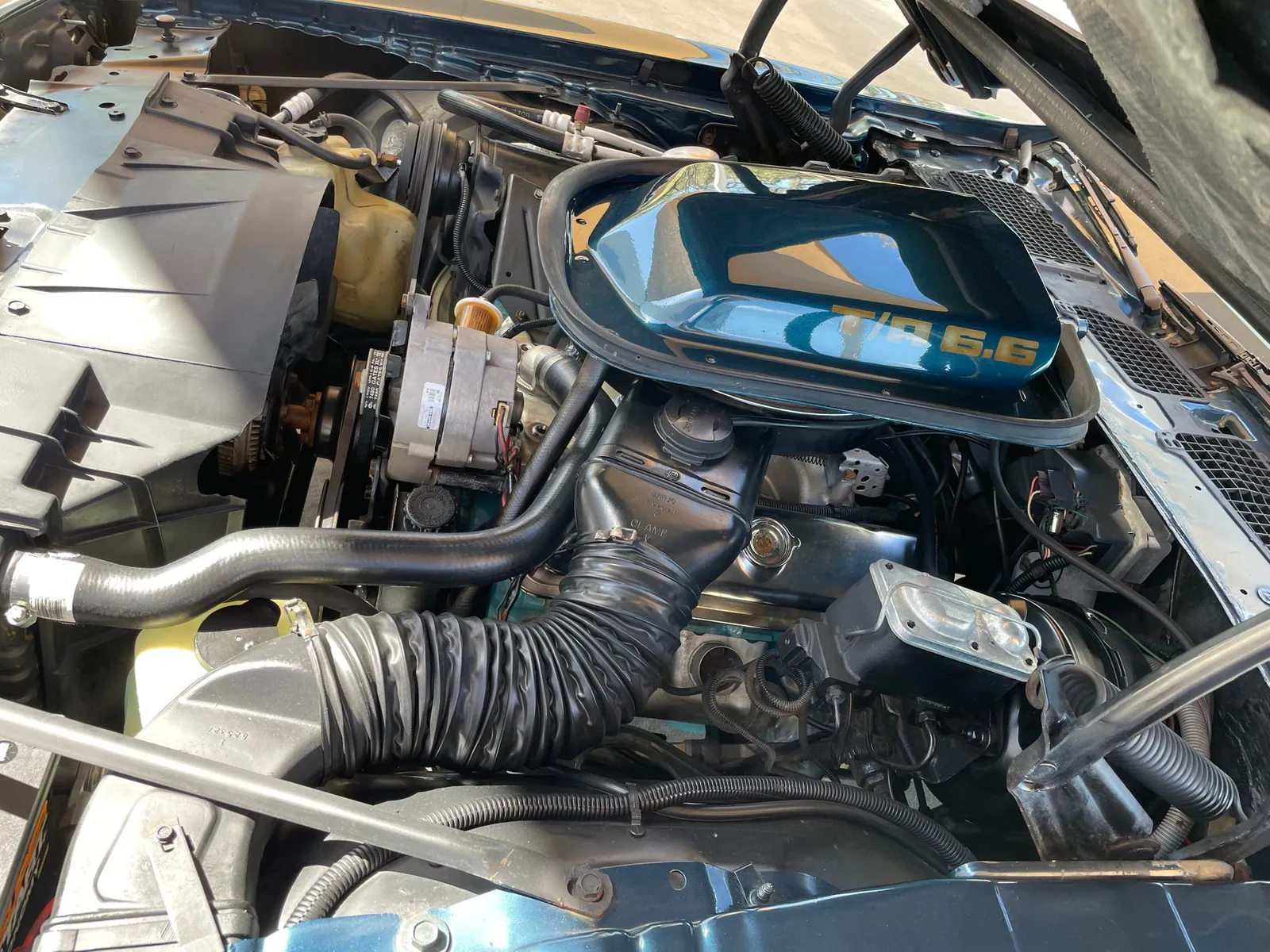 Engine bay of the 1979 Pontiac Trans AM